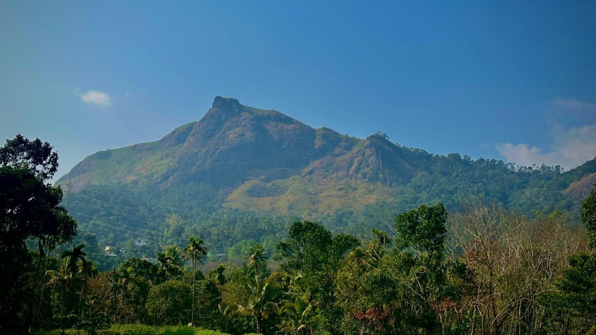 Vila Morning Hills Munnar Exteriér fotografie